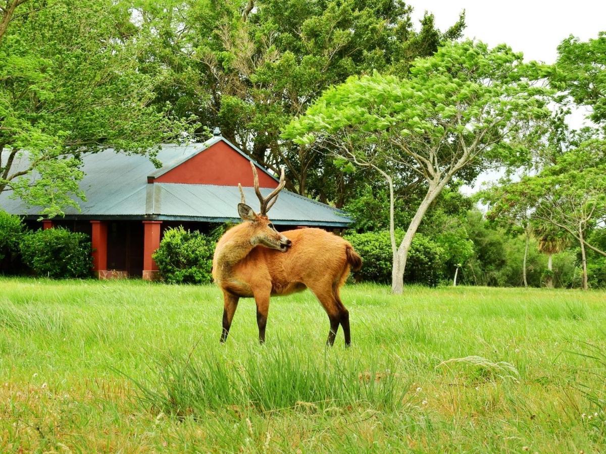 Estancia Ibera Colonia Carlos Pellegrini  Exterior photo